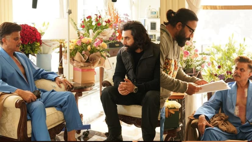 Animal Roars: 2 Years of Box Office Triumph