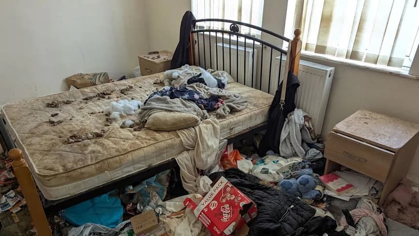 Filthy home leads to lifetime animal ban for Bradford woman