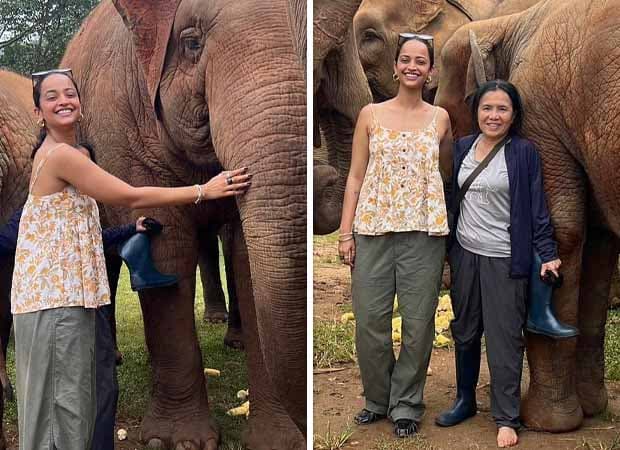 Actress's Heartfelt Visit to Ethical Elephant Sanctuary
