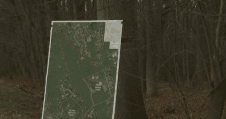Forest Saved: 68 Acres Protected in Anne Arundel