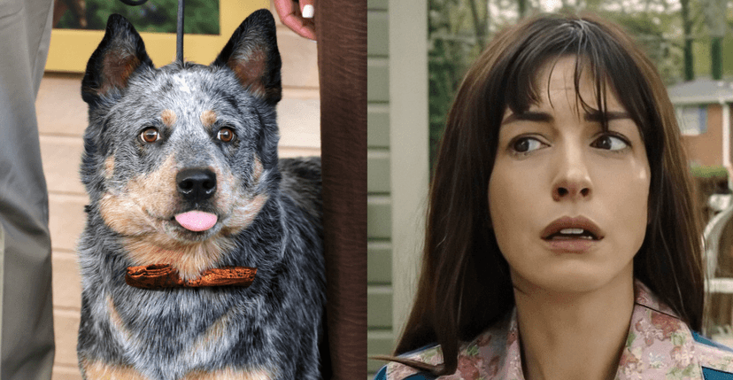 Anne Hathaway's Sci-Fi Spoiler: Dog's Fate Revealed