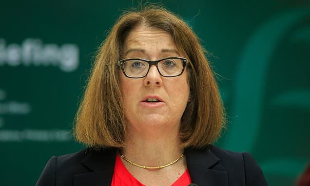 HSE's New Leader: Ex-COO Returns for Healthcare Reform