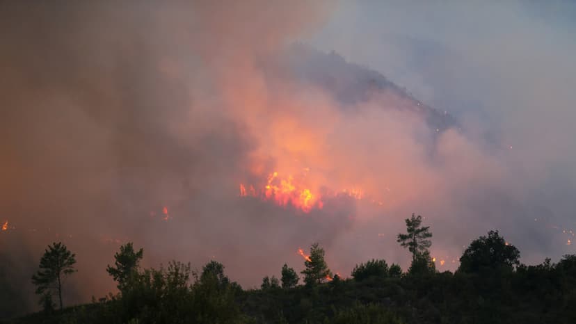 Türkiye's Blaze: Apocalyptic Flames Engulf Antalya Province