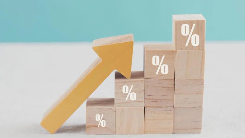 Anupam Rasayan Profit Surges 12% Amidst Strategic Acquisition