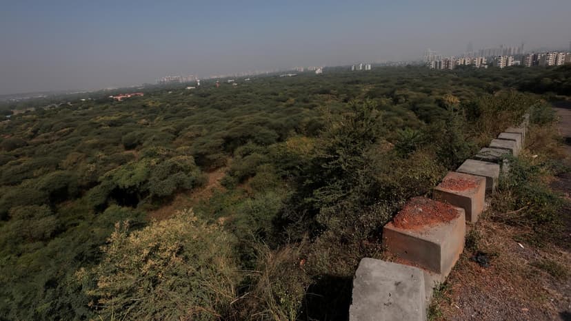 Aravalli Green Wall: A Race Against Urban Decay