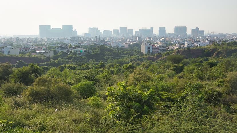 Eco-Restoration: The High-Value Solution for Aravallis