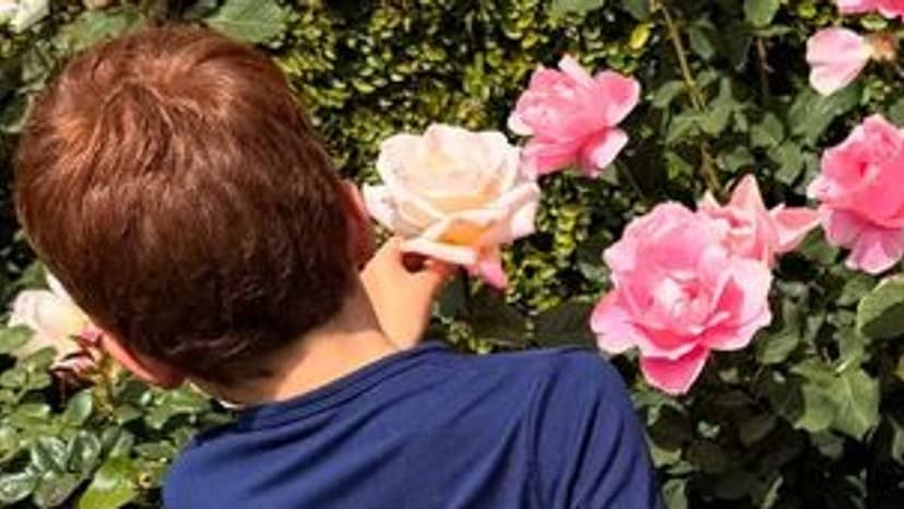 Royal Kids' Quirky Hobbies Revealed!