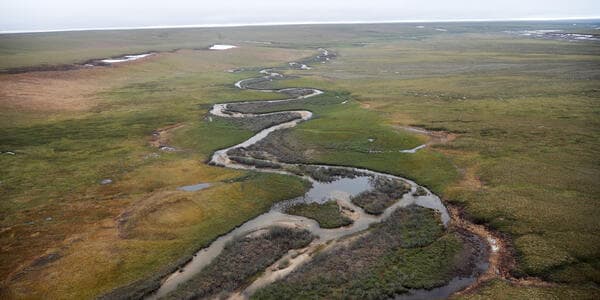 Arctic Rivers Threatened by Climate Change