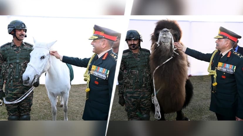 Army's Unsung Heroes: Camels, Dogs, Ponies Honored