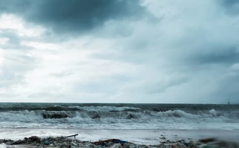 Plastic Grass Fouls Spanish Seas