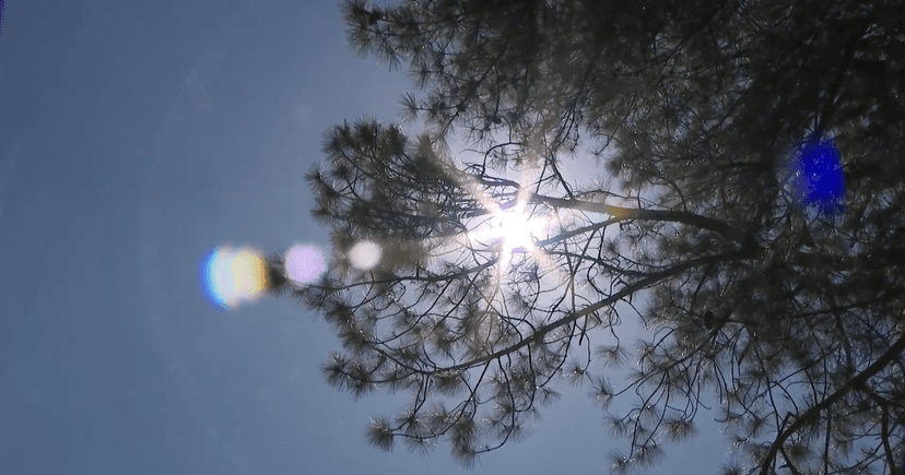 Atlanta Heat Wave: Outdoor Workers Face Record Temps