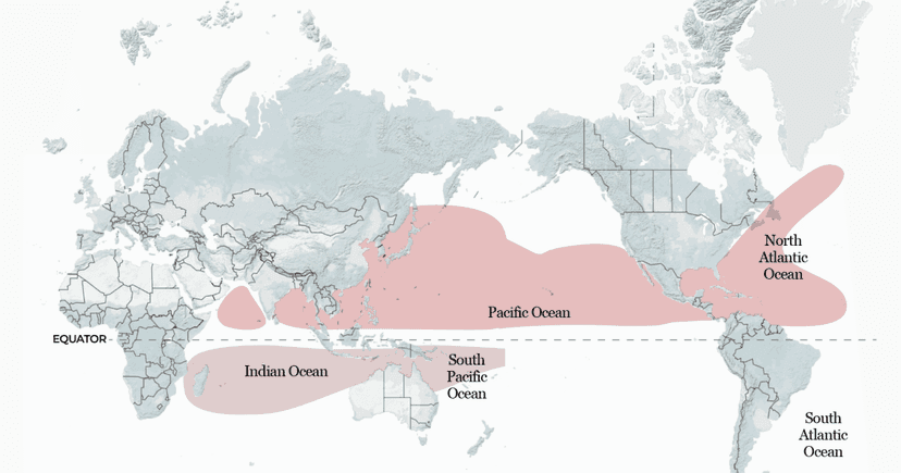 El Nino Quiets Atlantic Hurricane Season