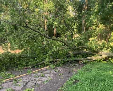 Aurora Recovers: Storms Leave Trail of Damage