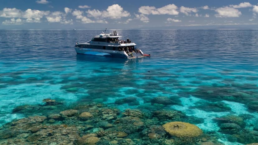 UN Scrutiny for Australia Over Great Barrier Reef Land Clearing