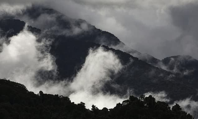 Australia's Forests Dying Faster as Climate Warms
