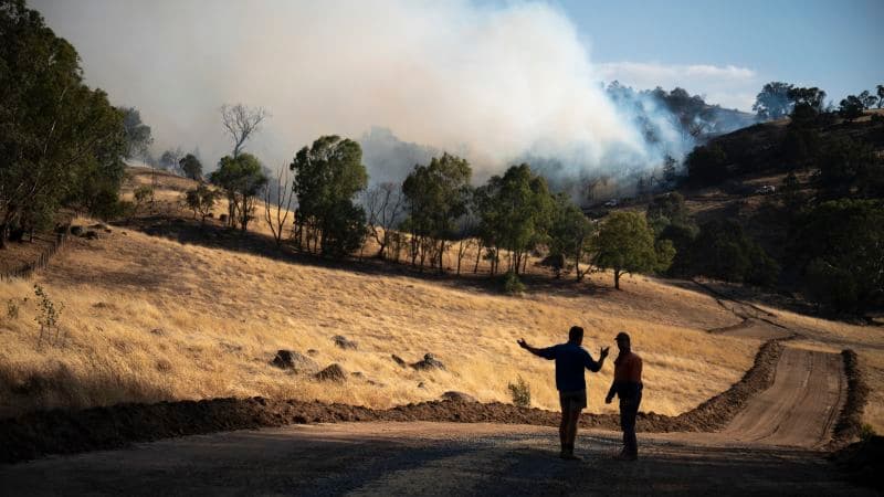 Australia Reels: 50°C Heat Sparks Wildfires