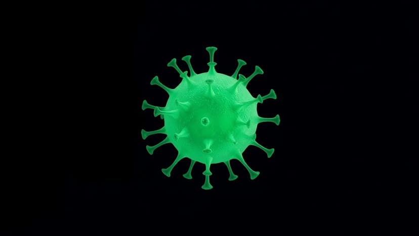 Australia Monitors Deadly Nipah Virus Outbreak