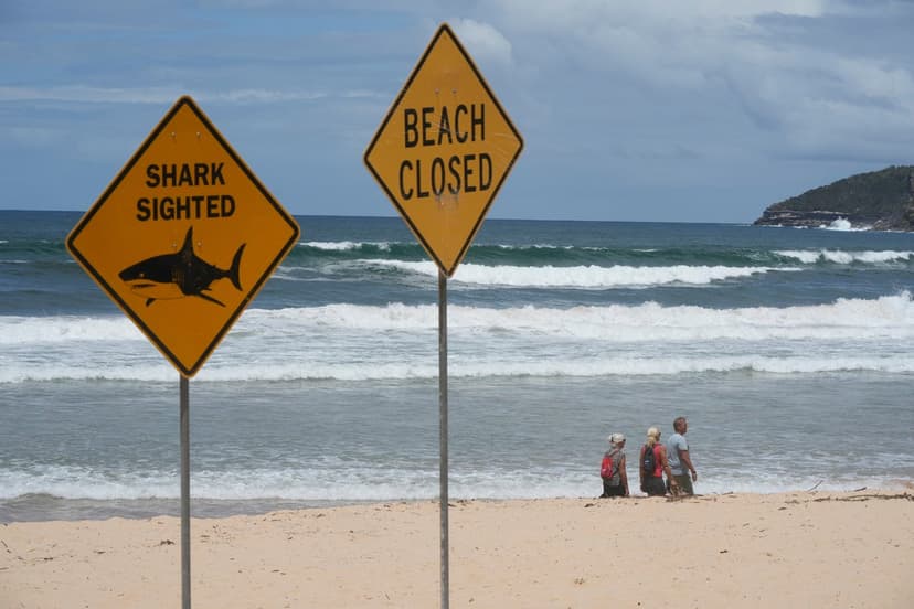 Australia Shark Attacks: Beaches Shut After 4th Incident in 48 Hours