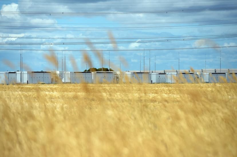 Australia's Wheat Crop Faces Steep Decline