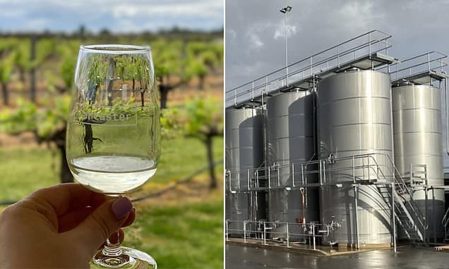 Australian Winery Collapses Under Trade War Fallout