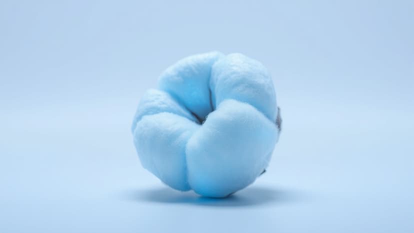 Avalo's Eco-Cotton Hits Chinese Denim Market