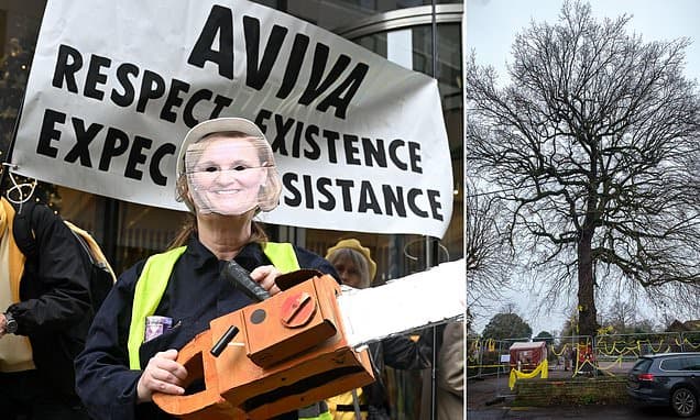 Aviva HQ Protested Over Secret Tree Felling Reports