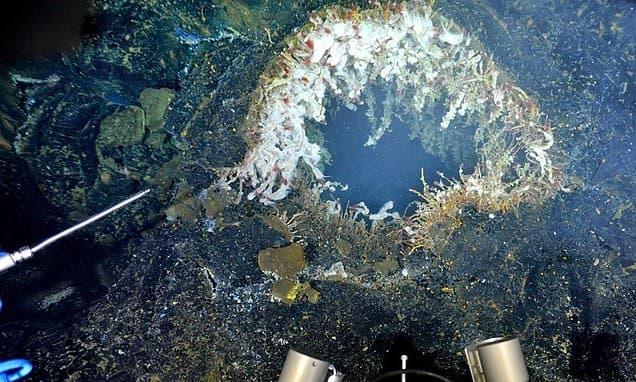Axial Seamount Inflation Slows, Delaying Predicted Eruption Timeline