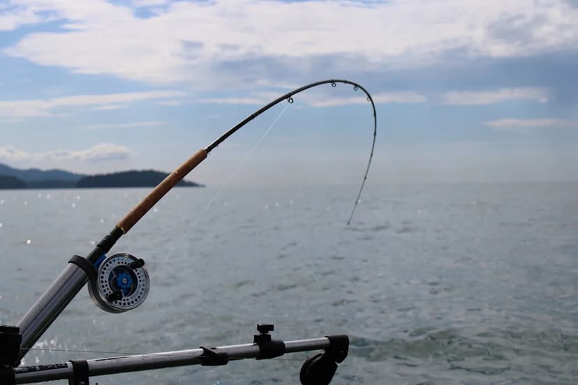 Azores Upholds Fishing Ban, Protecting Marine Life