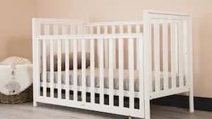 Baby Dead After Reported Dog Attack in Home
