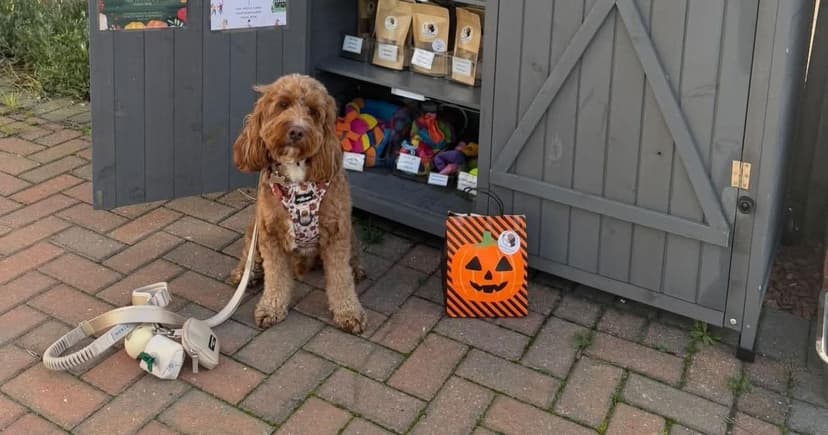 Backyard Dog Treat Biz Grows into 11-Location Honesty Box Empire