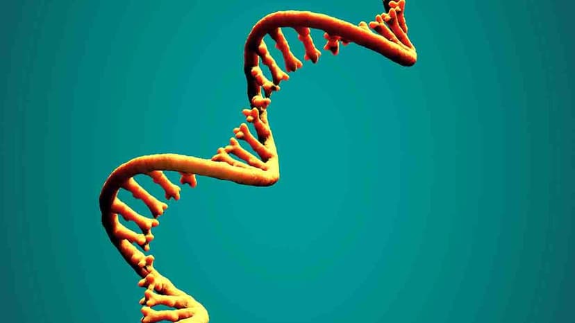 Bacteria Secrets in Your Water Revealed!