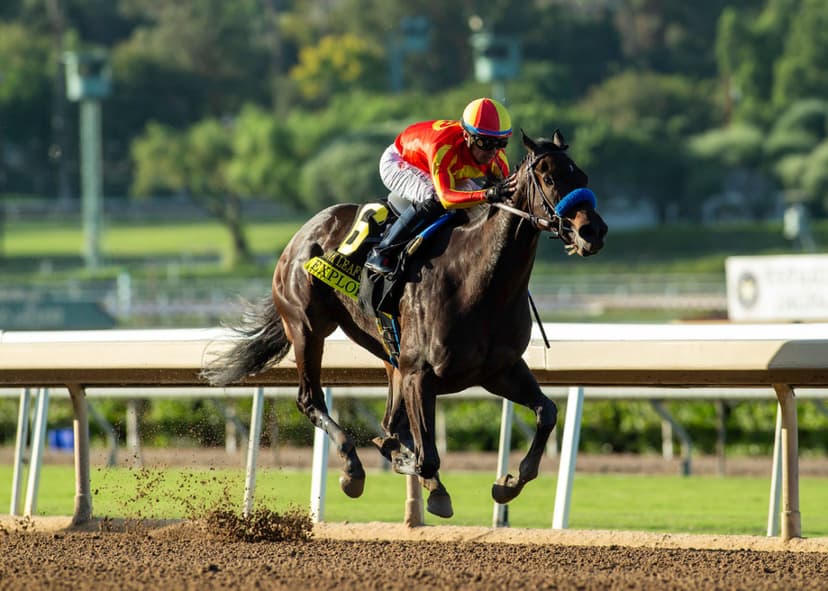 Baffert Dominates Santa Anita Stakes