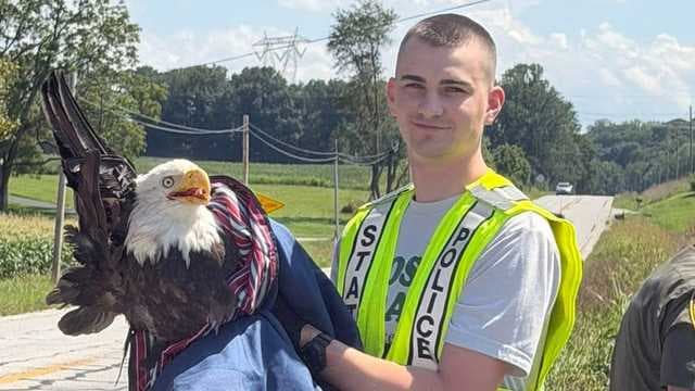 Eagle Rescued After Indiana Roadway Collision