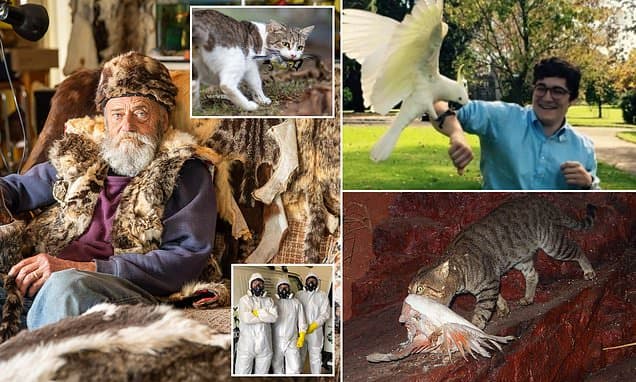 Ban Cats Now: Zoologist's Urgent Plea