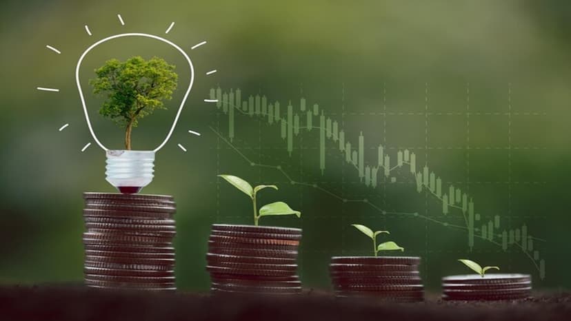 Banks Flock to Green Lending After BoB Success