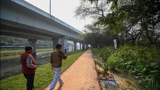 Delhi Drain Transforms into Green Oasis
