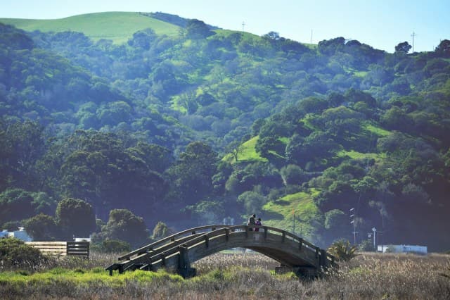 Bay Area Cool Amidst US Heat Dome Crisis