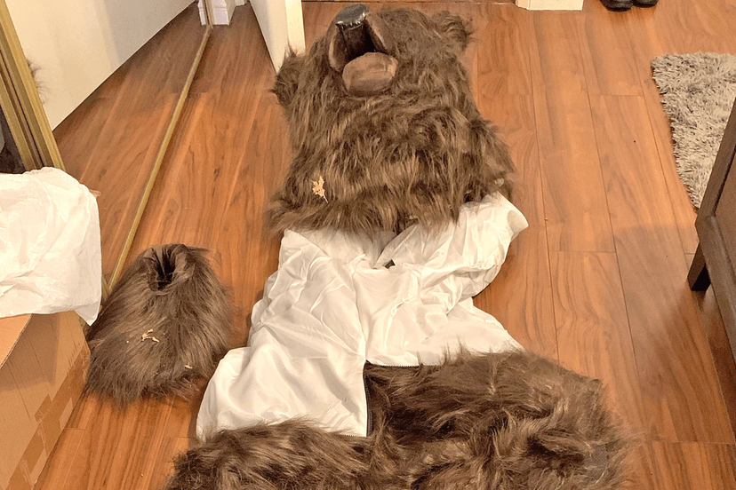 Bear Suit Scam: Trio Sentenced for Car Fraud