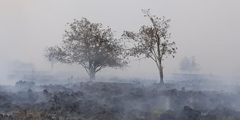 Belgium Wildfire Rages: Villages Evacuated