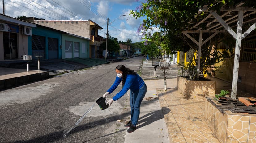 Belém's Smart War on Mosquitoes: Butterflies Return!