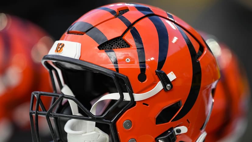 Bengals' Player Families Get F- Grade