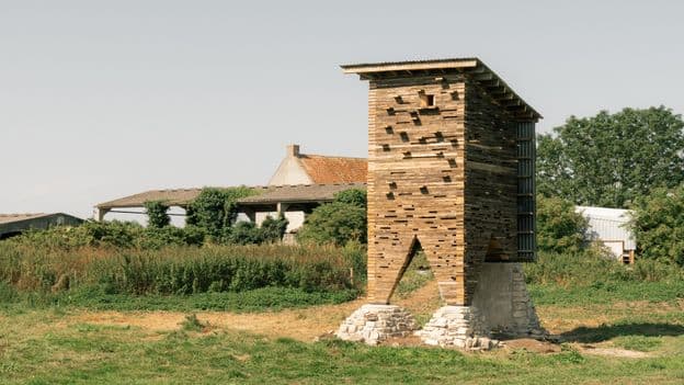 Creature Comforts: Homes Designed for Wildlife Clients