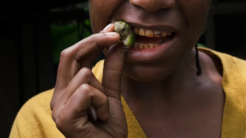 Ancient Teeth Reveal Betel Nut's 25,000-Year History