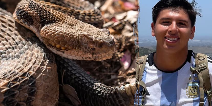 Mountain Biker Dies After Rattlesnake Encounter
