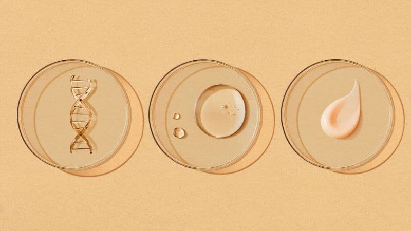 Beauty's Biotech Revolution: From Scar to Skincare