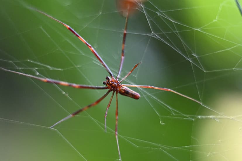 Beyond Medicine: Biotech Revolutionizes Chemical Industry