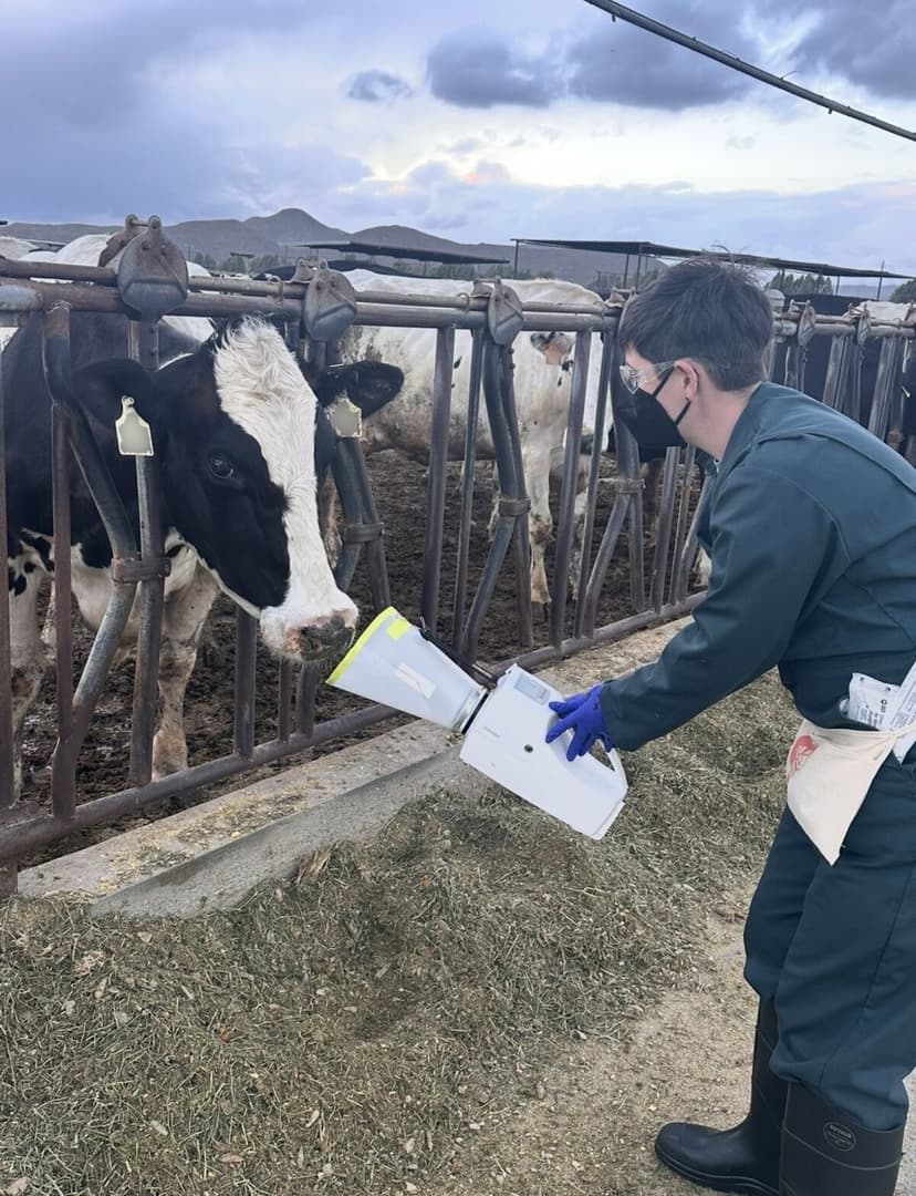 Bird Flu Spreads Via Air and Wastewater on Farms