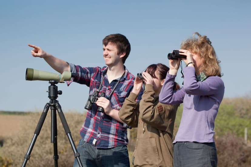 Birdwatching Boom: Gen Z & Millennials Embrace Nature Hobby