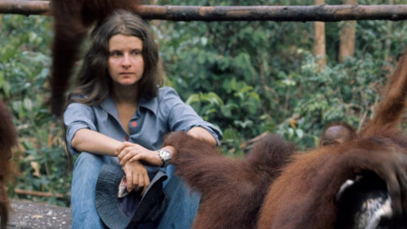Orangutan Champion Biruté Galdikas Dies at 79