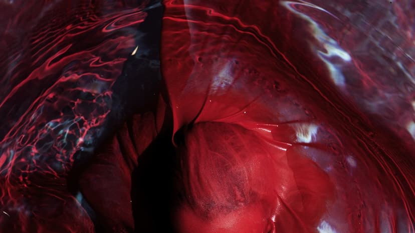 Blackwater Holylight: Heavy Music Meets Intimate Revelations